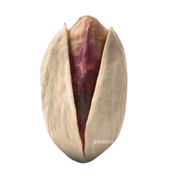 kernelo-super long pistachio-supplier