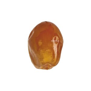 Barhi dates wholesale supplier