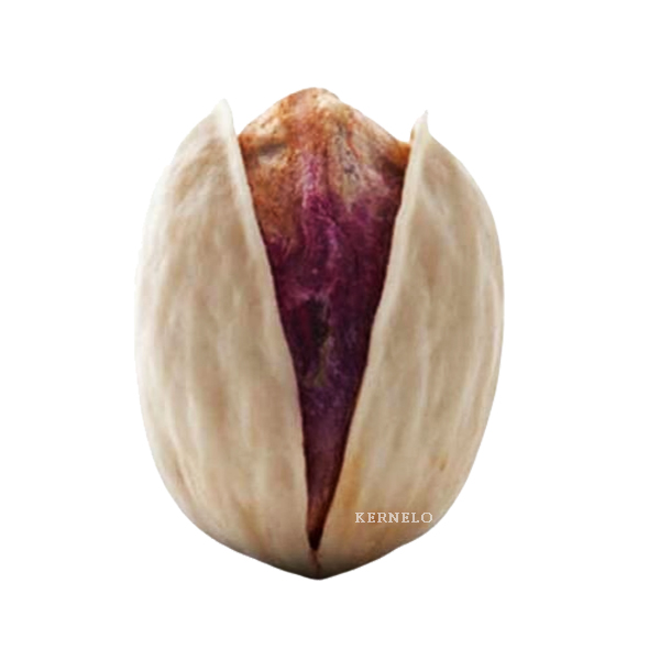 Jumbo Pistachio wholesale supplier