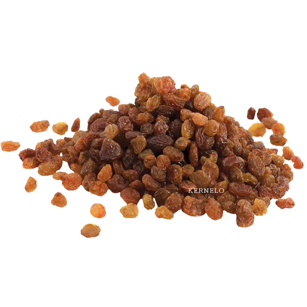 Sultana raisins wholesale