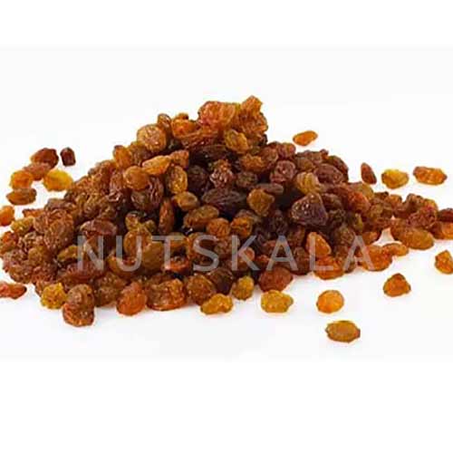 kernelo nutskala nuts bazaar sultanas raisin wholesale کشمش سلطانا عمده کرنلو ناتس کالا