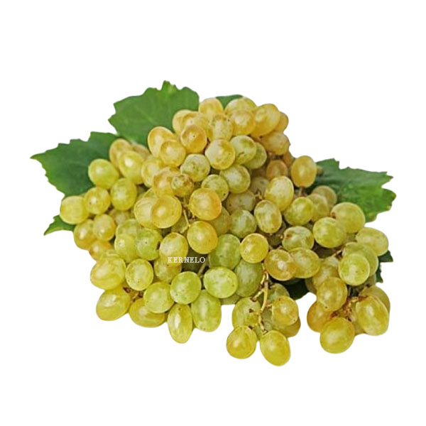 sultana-grapes-raisin