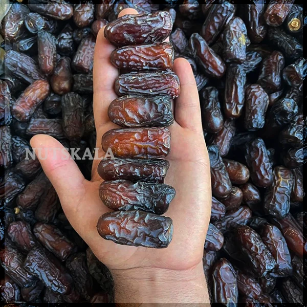 خرما پیارم عمده کارتن 10 کیلو Piarom Date wholesale price