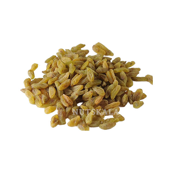 Green Raisin supplier price bulk