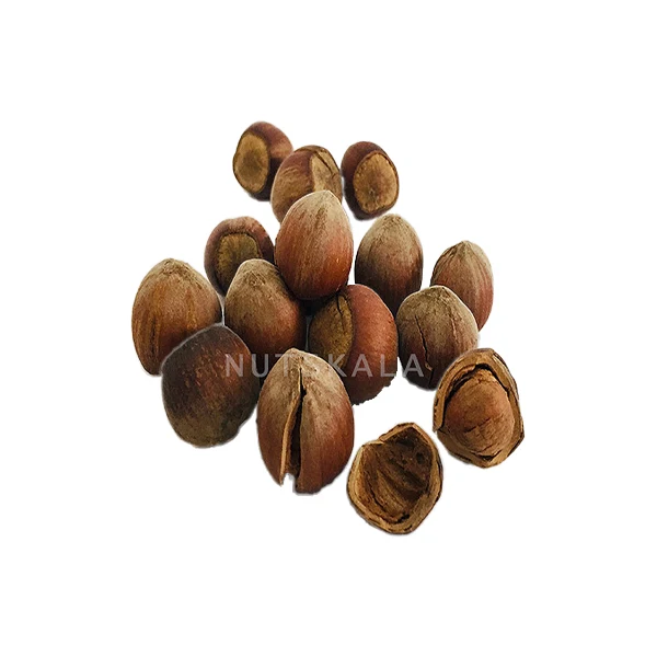 Roasted hazelnuts
