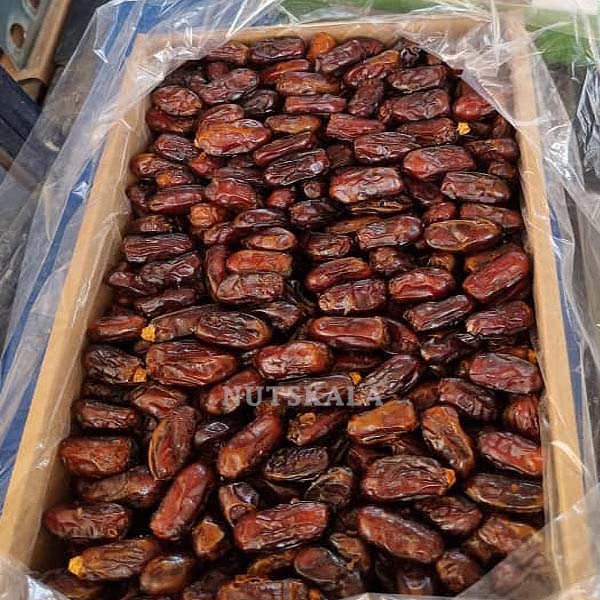 قیمت خرید فروش خرما سایر عمده Sayer dates wholesale