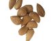 قیمت خرید بادام کرنلو بازار عمده خشکبار مامایی سنگی محب nuts almond wholesale bazaar