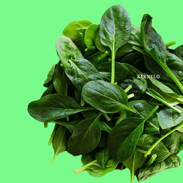 فواید سبزی اسفناج برند کرنلو فواید و مضرات اسفناج