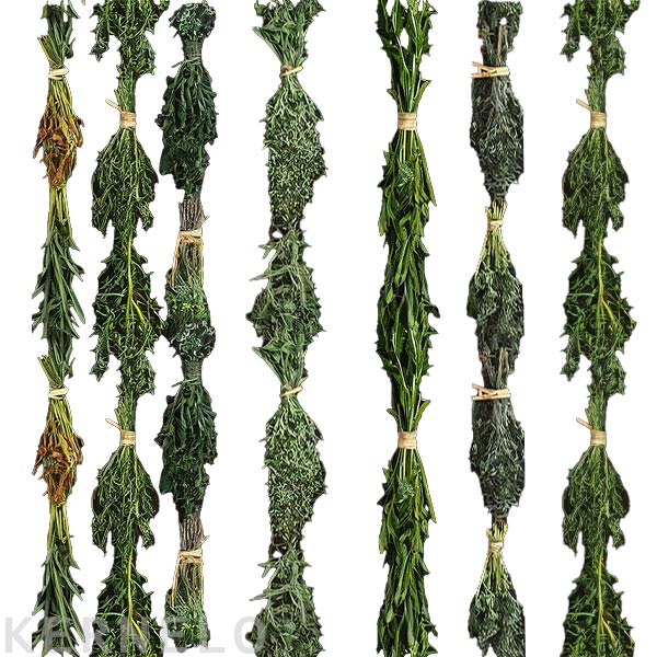 قیمت روز سبزی خشک عمده