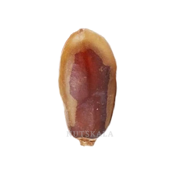 خرما شاهانی عمده تهران