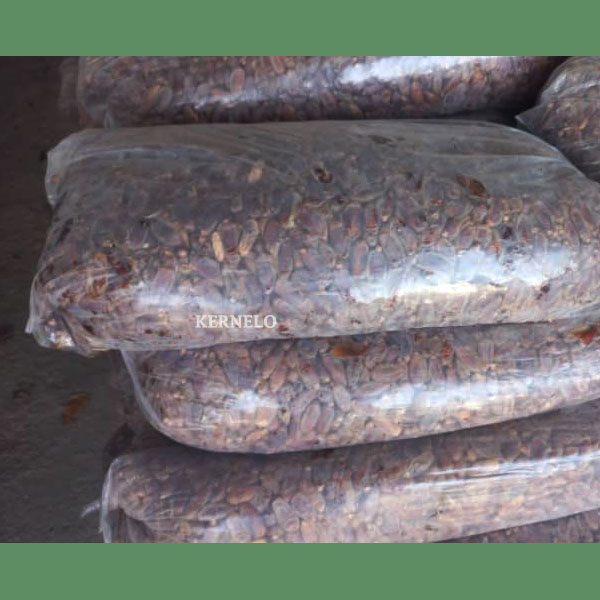 قیمت خرما شاهانی عمده