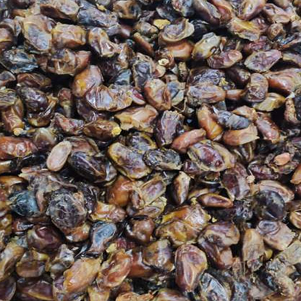 خرما آبگیری ضایعاتی عمده 5 کیلویی