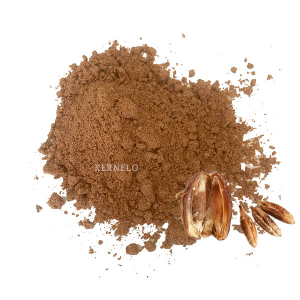 Date seed powder wholesale