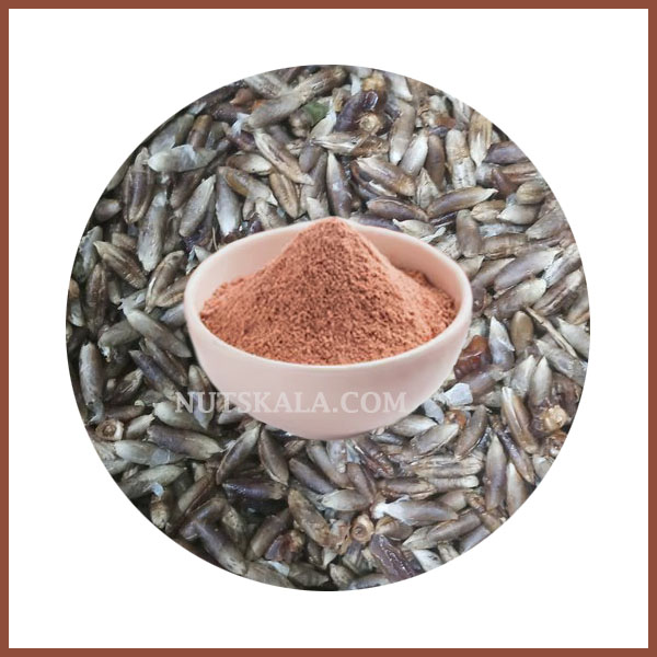 date seeds powder wholesale bulk price