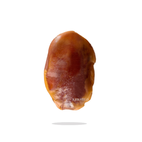 khalas date wholesale bulk price