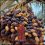 piarom dates health benefits wholesale