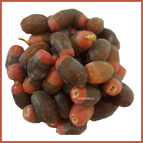 khalas dates wholesale supplier