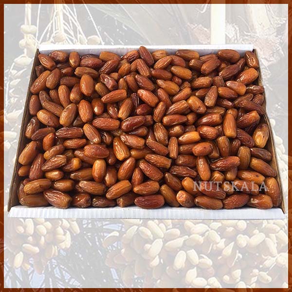 Deglet nour dates wholesale supplier