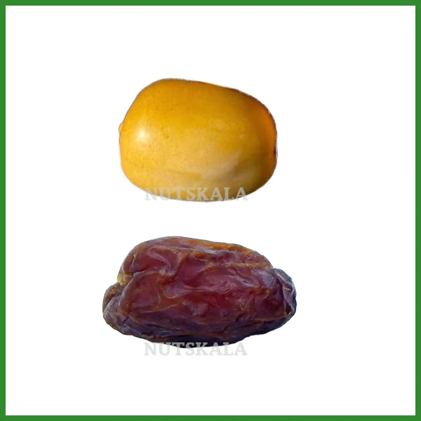 خرما مردا سنگ رطب قیمت عمده فروشی