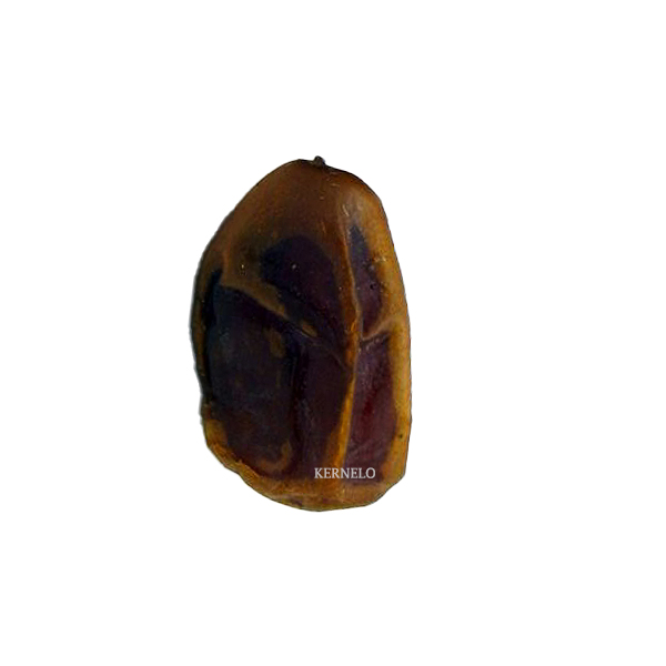 Kabkab dates wholesale