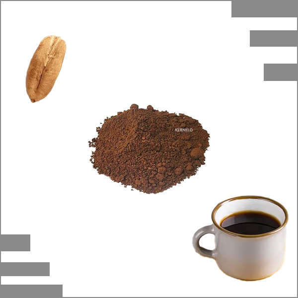 date seeds coffee powder bulk price