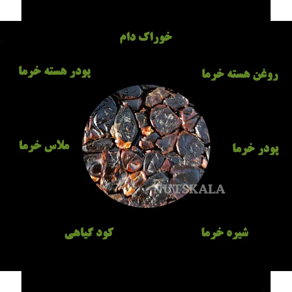 خرید فروش عمده ضایعات خرما تهران