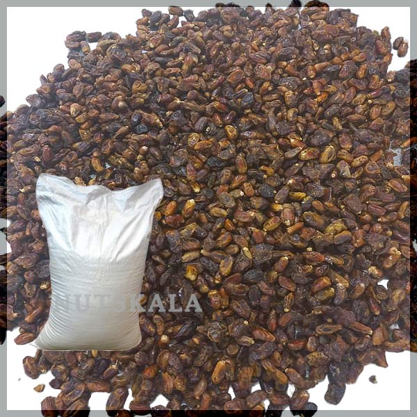 date by-products wholesale supplier