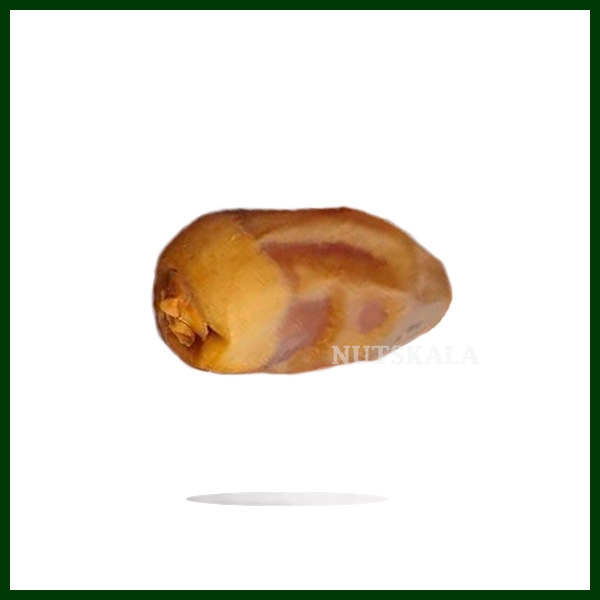 قیمت خرید عمده خرما آلمهتری