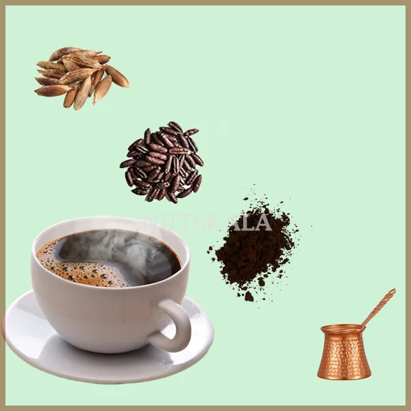 طرز تهیه قهوه هسته خرما date seeds coffee