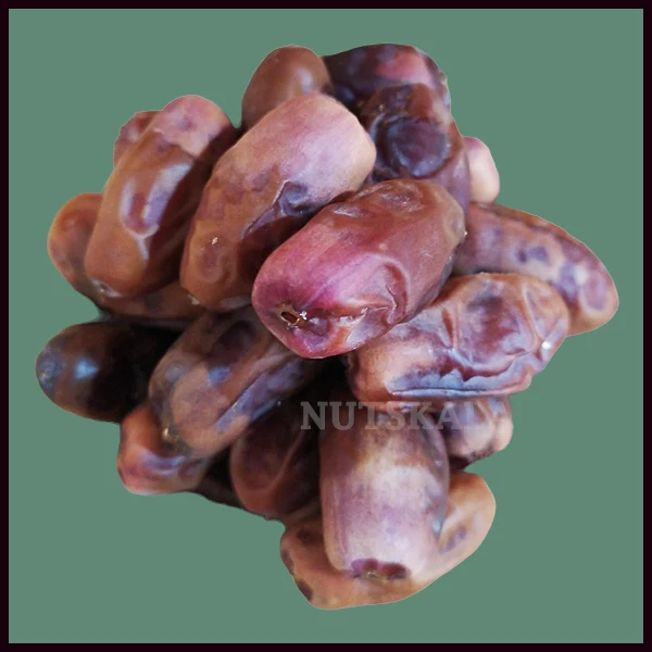 خرید فروش قیمت خرما دیری عمده