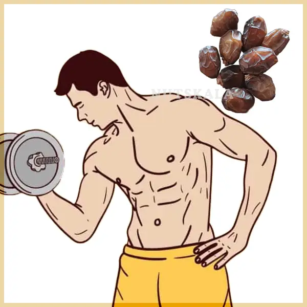 مصرف خرما فواید برای ورزش بدنسازی