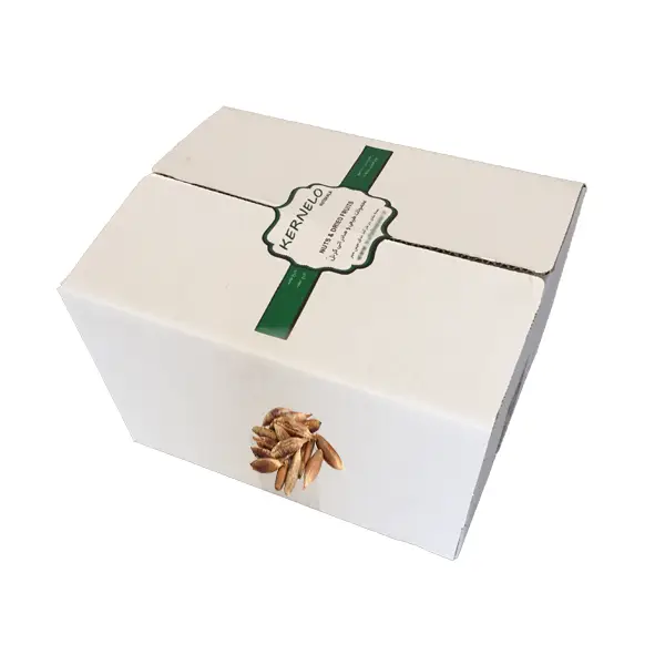 خرید فروش هسته خرما عمده 5 کیلویی