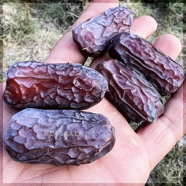 خرما پیارم چیست
