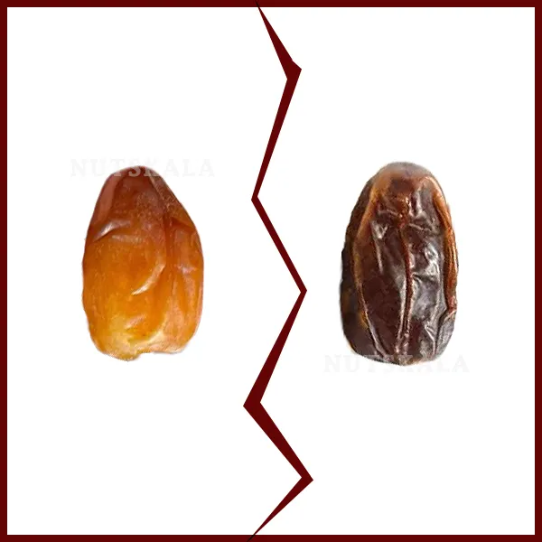 فرق تفاوت رطب و خرما بهترین مرجع انواع خرما