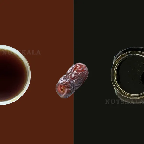 قیمت خرید و فرق شیره و عسل خرما عمده