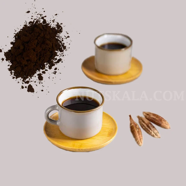 قیمت خرید فروش پودر قهوه هسته خرما عمده